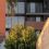 Housing project delivers 50 homes for women at risk of homelessness
