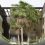 Court greenlights $34m shop-top complex for resort area
